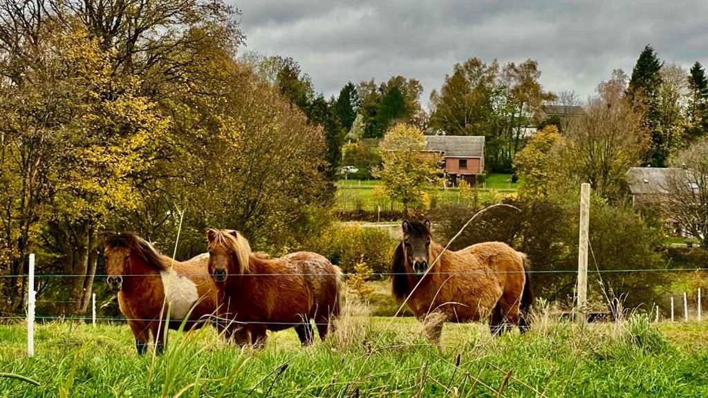 La Maison Attila En Ardennes Libin المظهر الخارجي الصورة